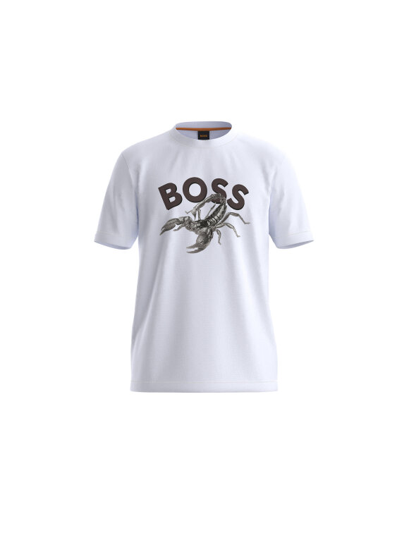 Hugo Boss - Boss Te_Bossfish